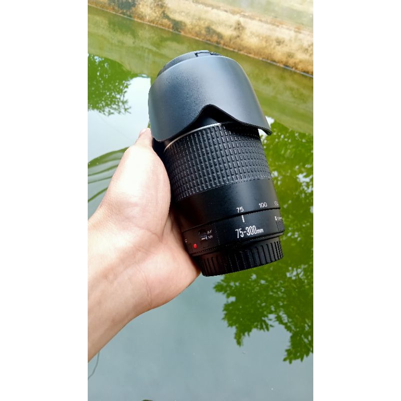 Canon 75 300mm