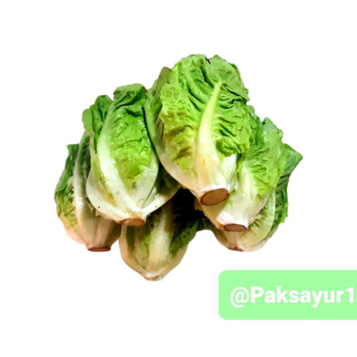 

Free Ongkir lettuce romaine 1 kg