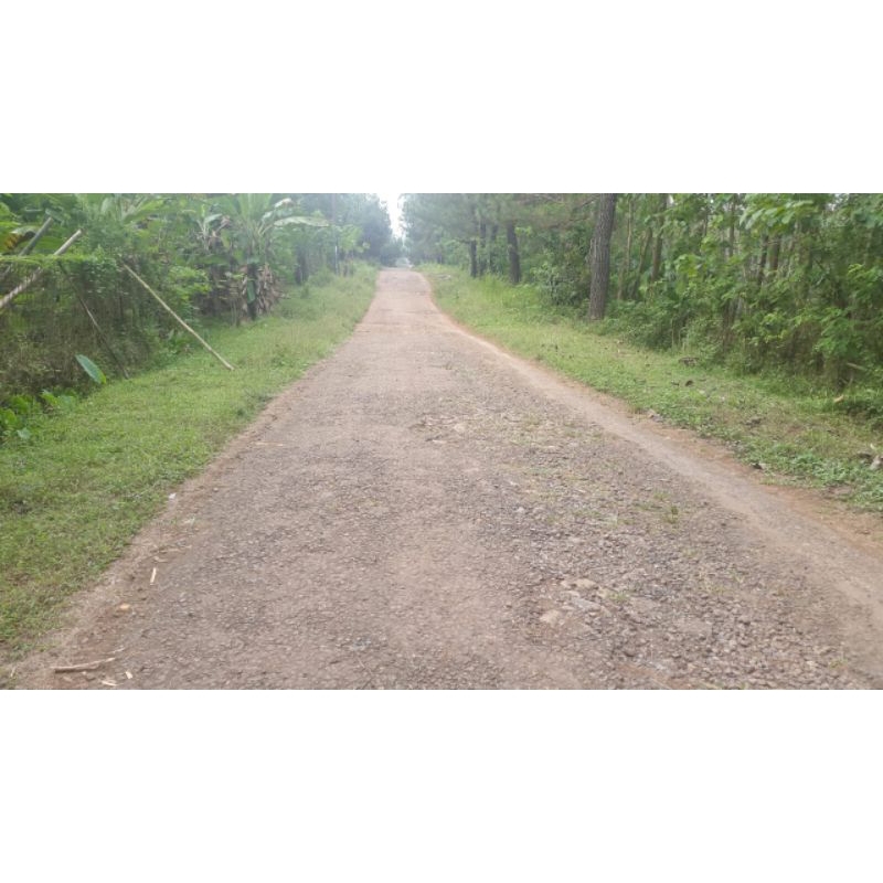 Tanah Kavlingan Murah dan Strategis di Bogor Timur