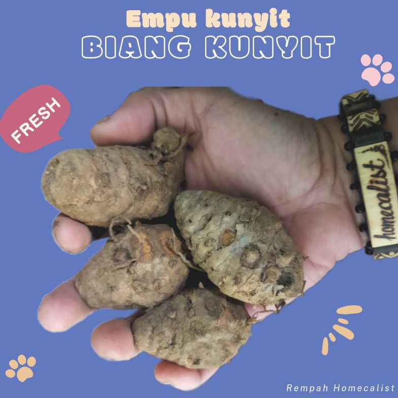 

11 SALE Biang kunyit 1kg Biang Kunyit Segar Empu Kunyit