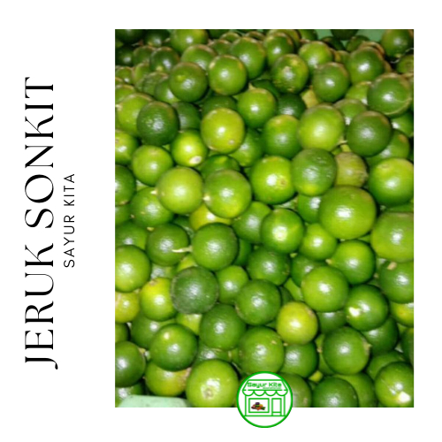 

Jeruk Sonkit / Lemon Cui 1 kg