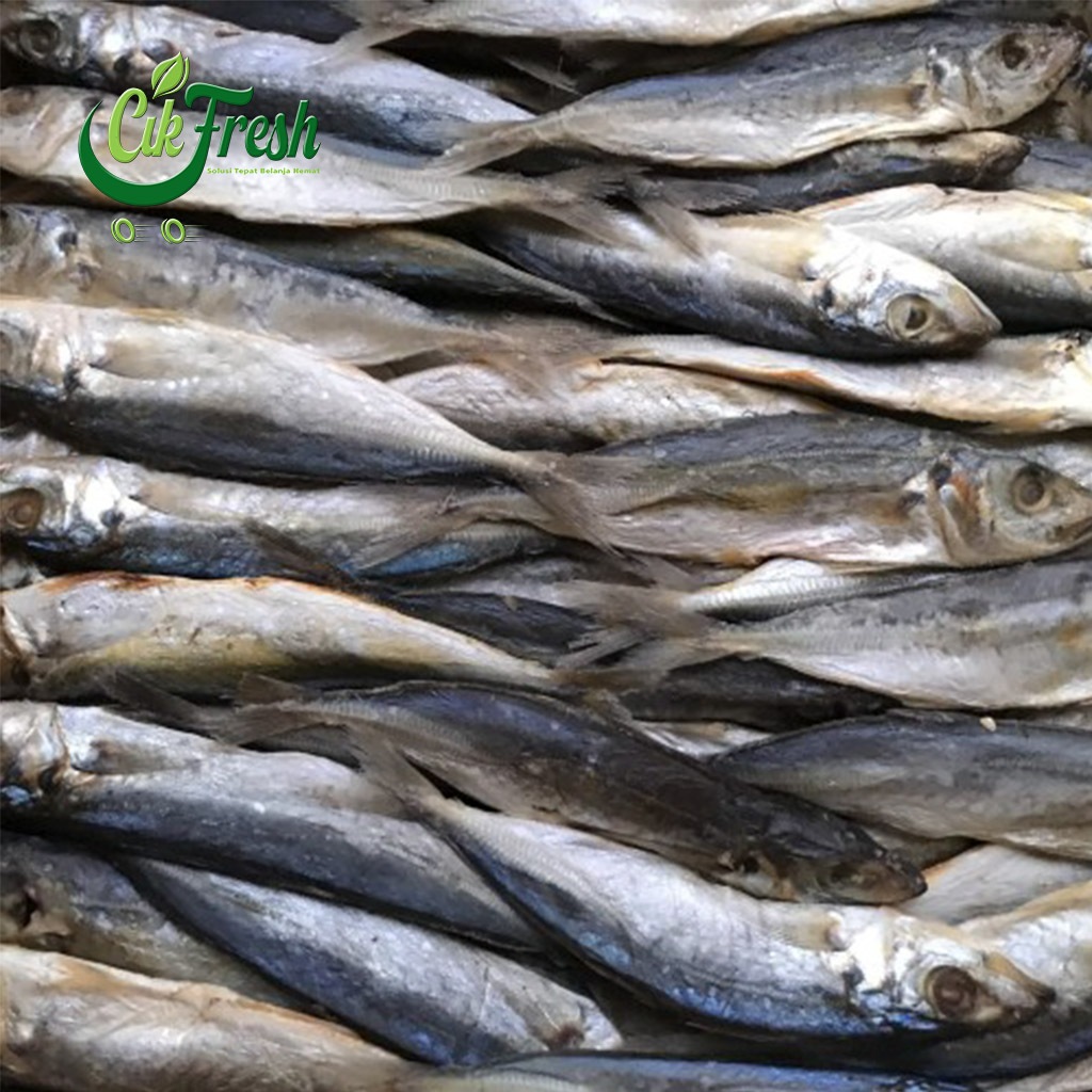 

Ikan Asin Japuh 500gr Premium