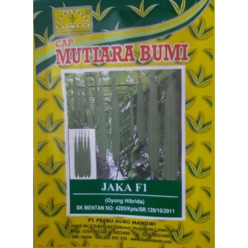 

BENIH GAMBAS JAKA F1 CAP MUTIARA BUMI (HARGA MURAH BANGET)