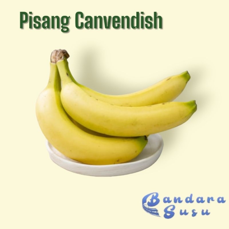 

Pisang SunPride Canvendish Family Sun Fresh