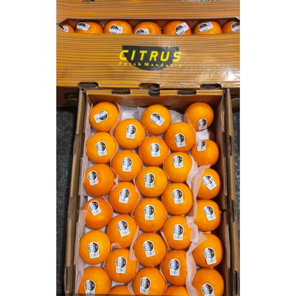 

Jeruk Wogan Mandarin Fresh (1kg)