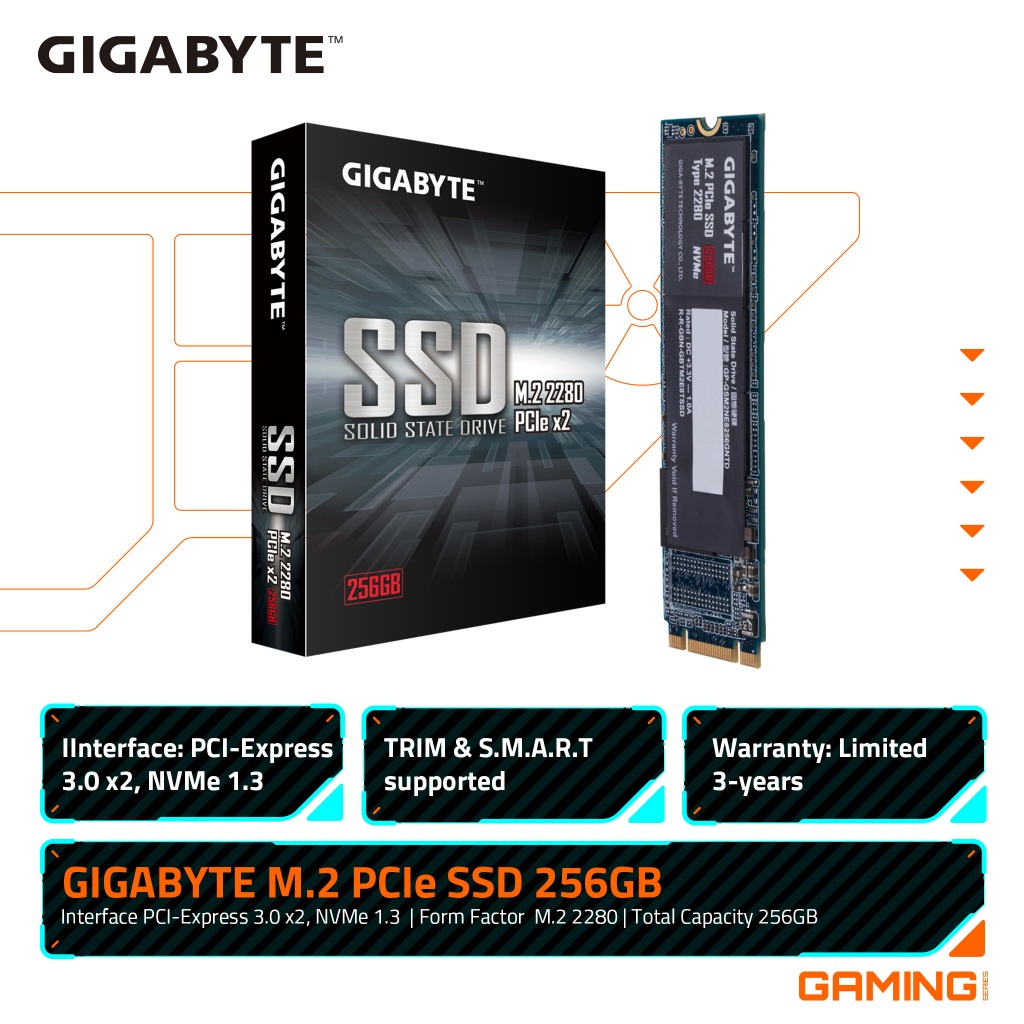 GIGABYTE NVMe SSD 256GB