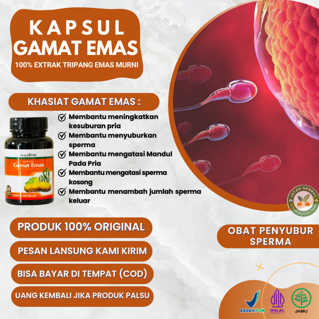 Gamat Emas Kapsul - Obat Penyubur Sperma, Pengental Sperma Encer, Penambah Sperma Pria, Obat Sperma 