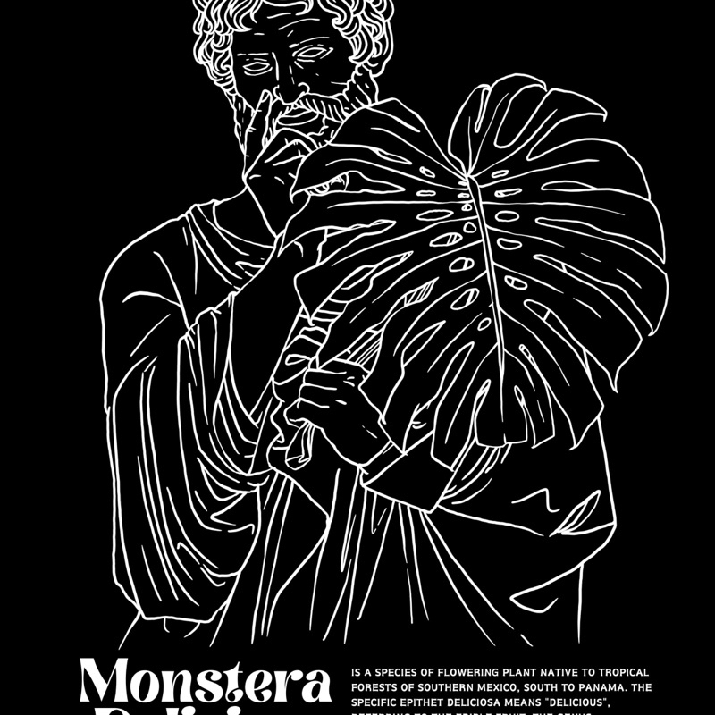 kaos Plato & Monstera