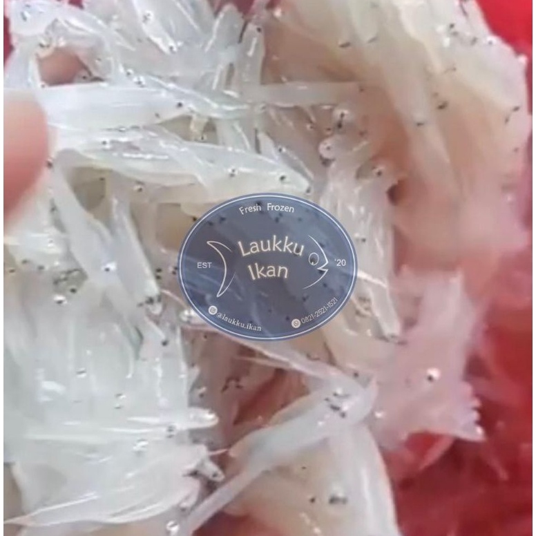 

FREE ONGKIR Teri Nasi Basah