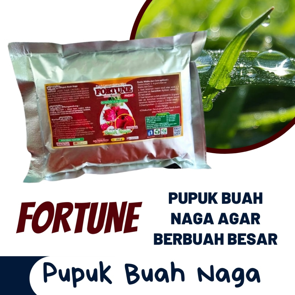 Pupuk Buah Naga Agar Berbuah Lebat, Pupuk Buah Naga Agar Cepat Berbuah