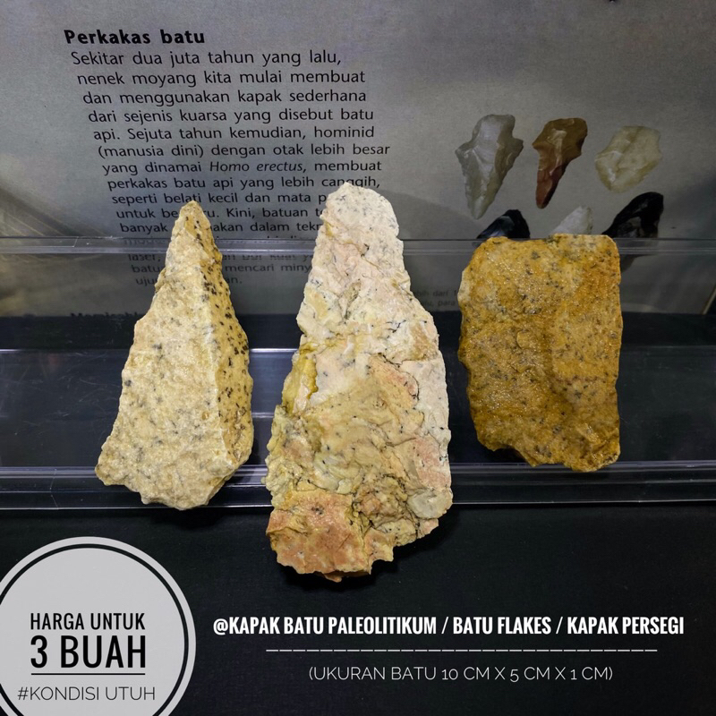 Kapak Batu Paleolitikum C19 atau Kapak Batu Temuan atau Batu Flakes atau Alat Serpih Bilah atau Kapa