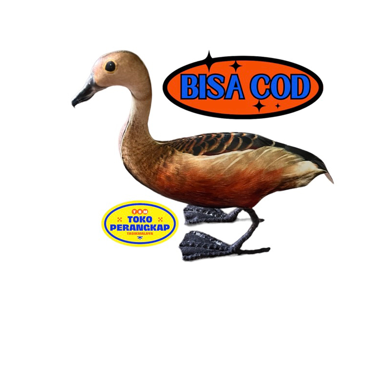 ( Toko Perangkap ) Patung Jontrot Pemikat Burung Belibis Kembang - Manekin Decoy Burung Belibis