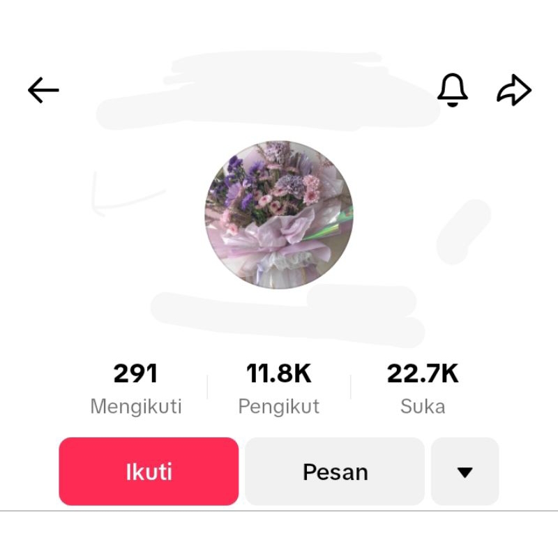 akun t1kt0k dijual 11k f0ll0wer