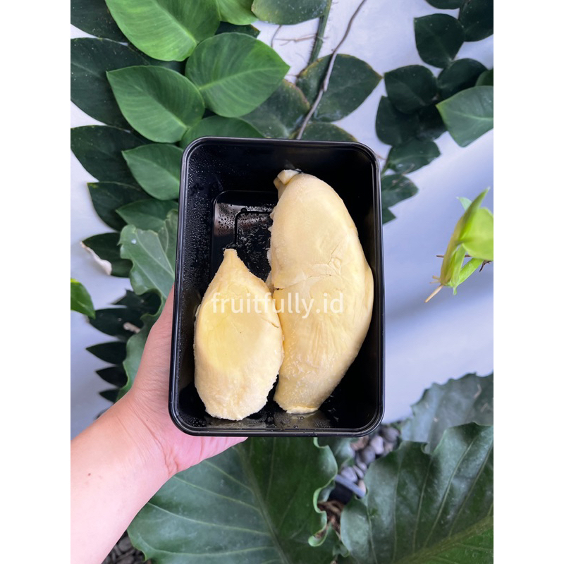 

Durian Monthong Montong Bali Singaraja Grade A Manis