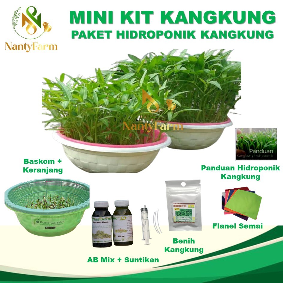 Mini Kit Kangkung Hidroponik Paket Hidroponik Kangkung Lengkap