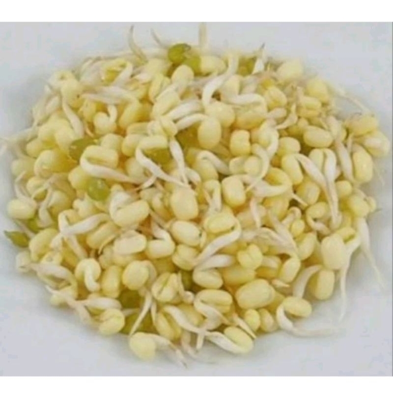

toge pendek rawon 250 gr
