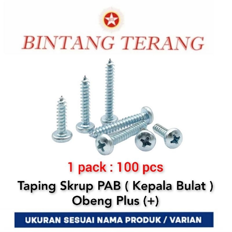 Sekrup PH 8 x 3/8" per 100 pcs / Tapping Skrup Kepala Bulat PAB / Pan Head Screw