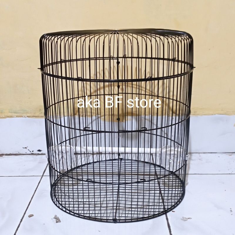 sangkar ruji Lovebird pendek cepak dragon