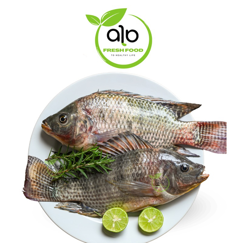 

TERMURAH Ikan Mujair Segar per Kg | Sayur online - ALO Fresh Food