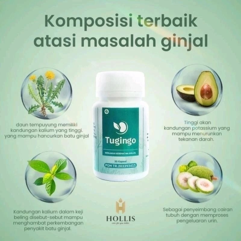TUGINGO PRODUK ASLI ORIGINAL PRODUK