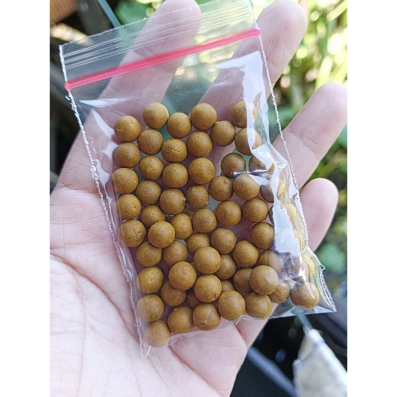 

JAMU TAMULAWAK, JAMU TRADISIONAL