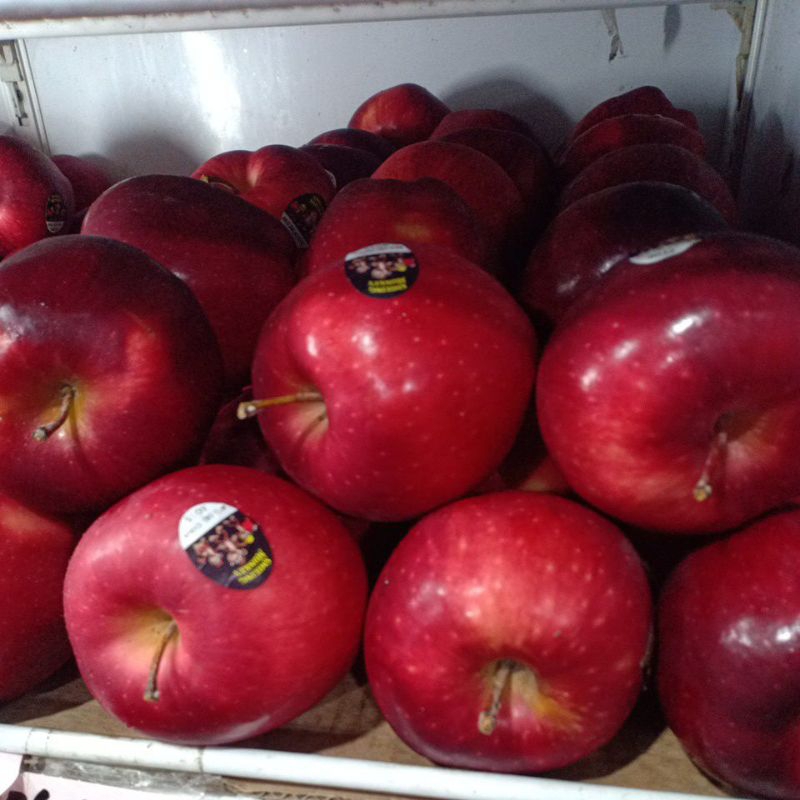 

apple merah