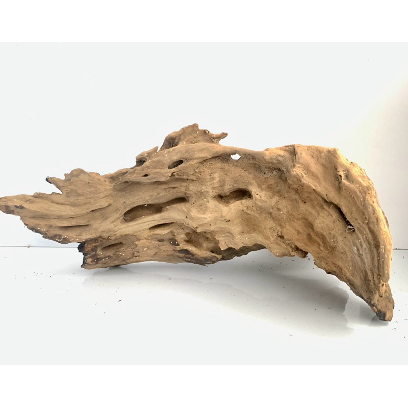 KAYU RENTEK AQUASCAPE BONUS MOSS