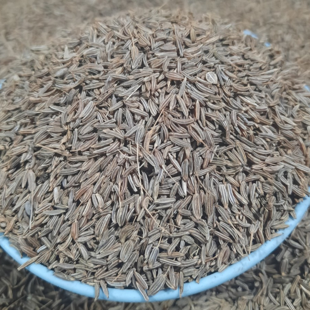

jintan, jintan putih