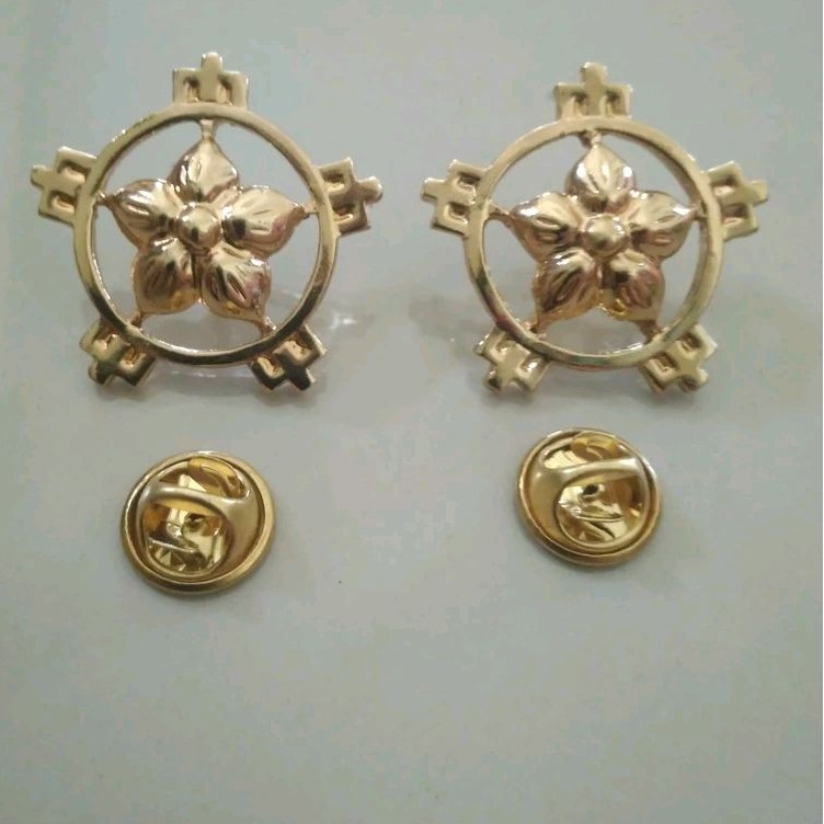 brevet wing pin monogram asn pns