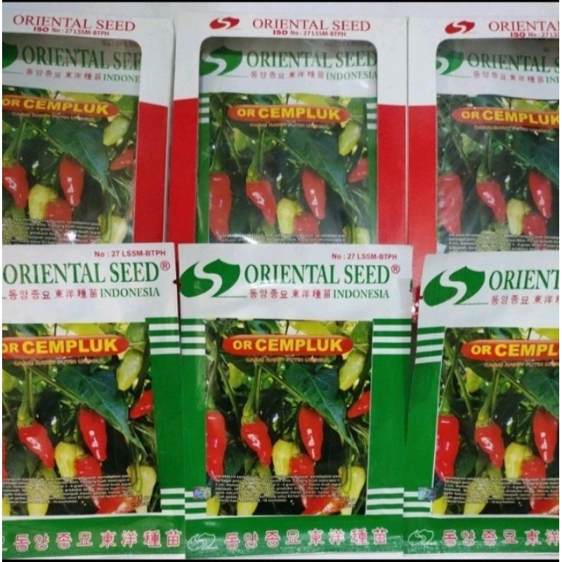 Benih cabe rawit putih OR CEMPLUK 10gr