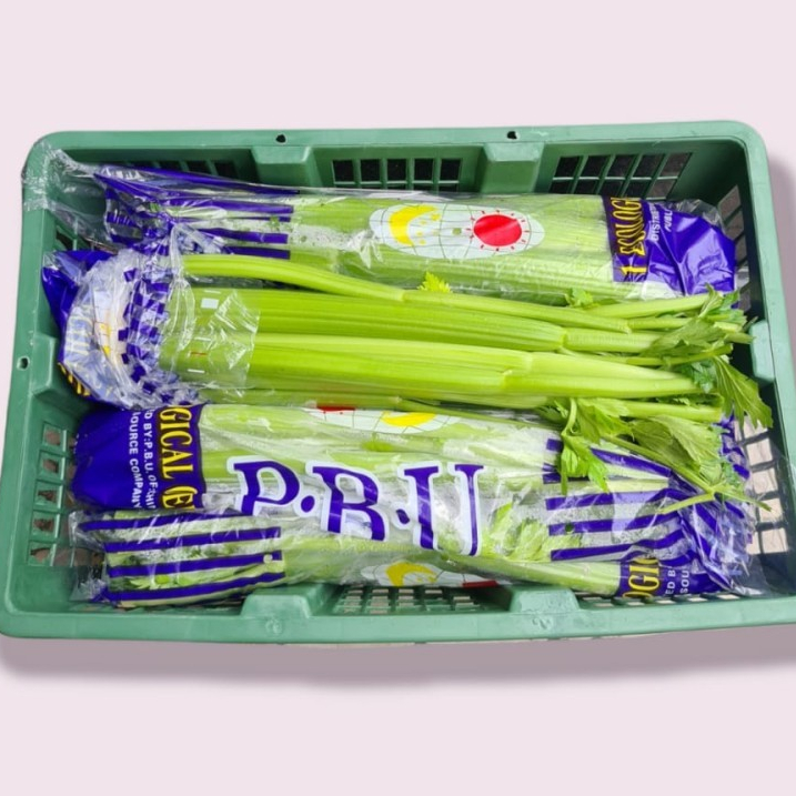 

Seledri Batang / Celery Stick IMPOR