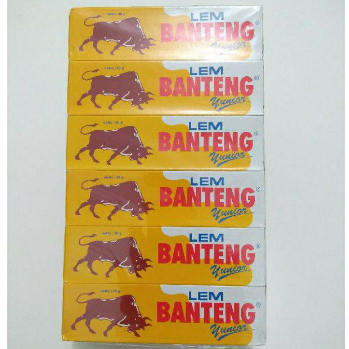 

1 Pak / 12 Pcs Lem Banteng Yunior 40 Gram ( LUSIN )