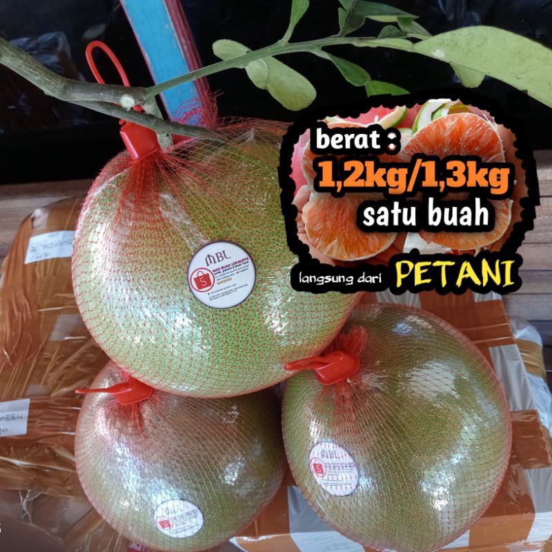 

Jeruk bali-pamelo manis 1,2kg-1,3kg