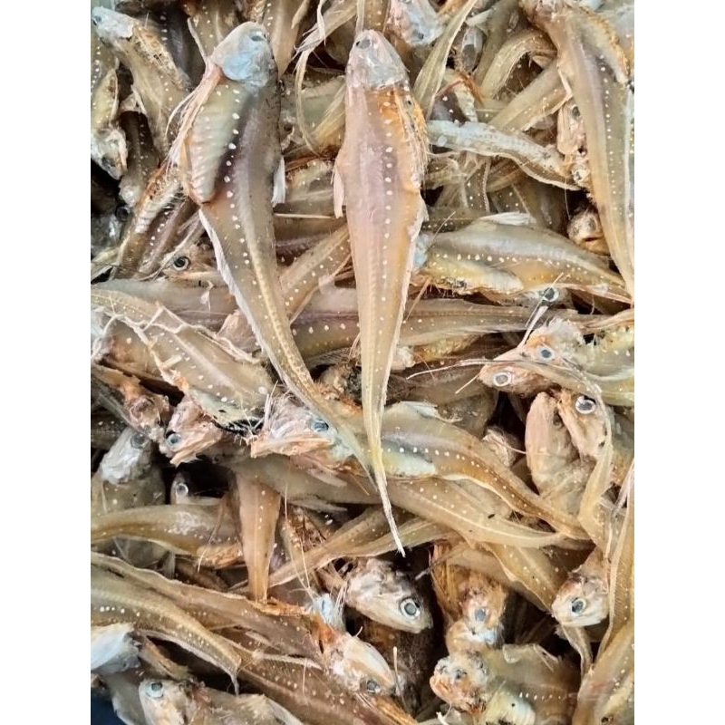 

ikan asin bulu ayam kering 500 gram