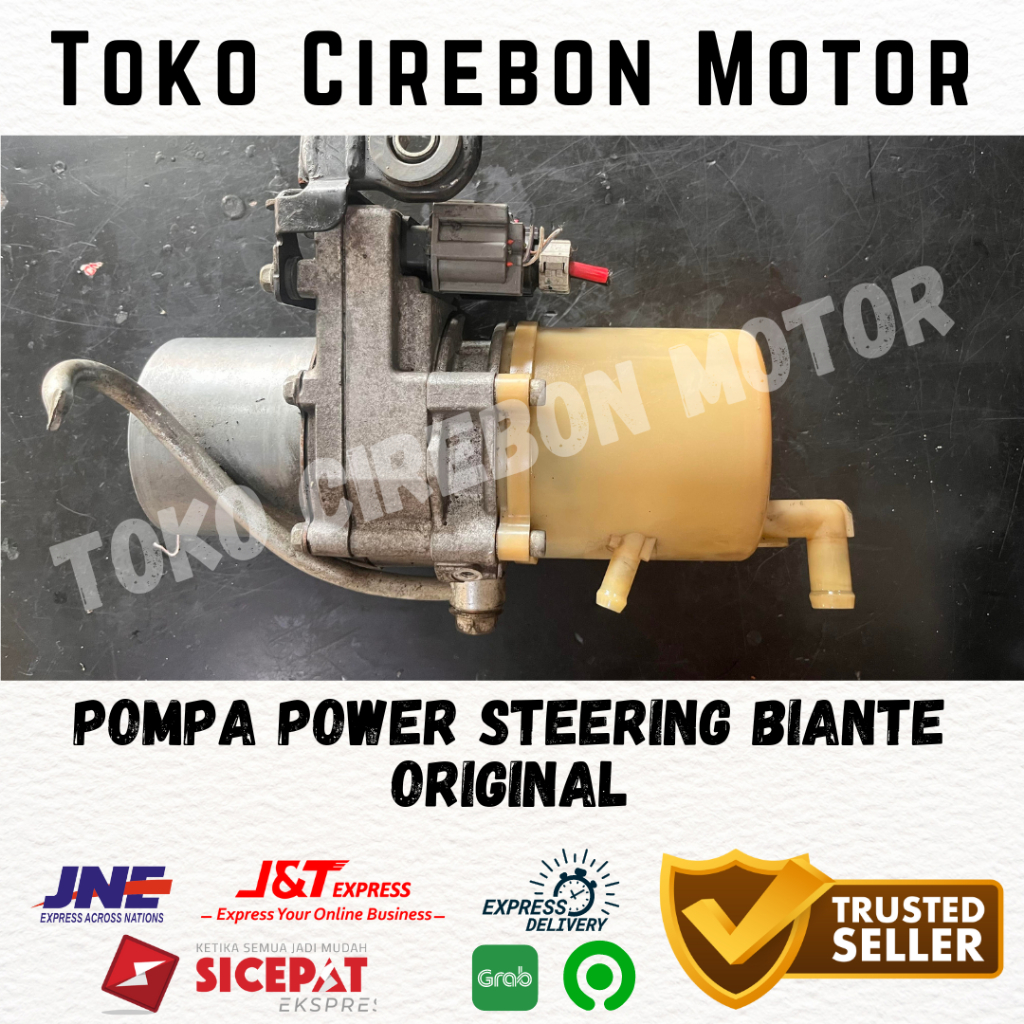 Pompa power steering elektrik biante original
