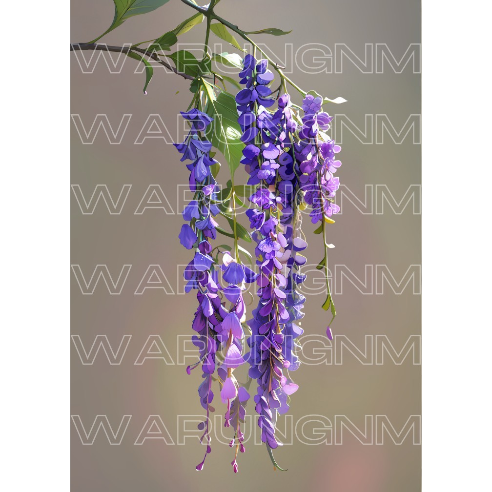 Poster Bunga Wisteria