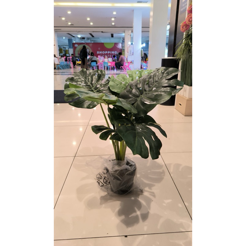 Informa tanaman artificial monstera 60cm