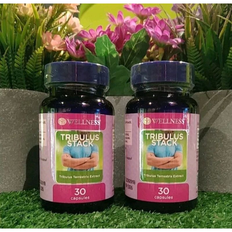 Wellness Tribulus Stack
