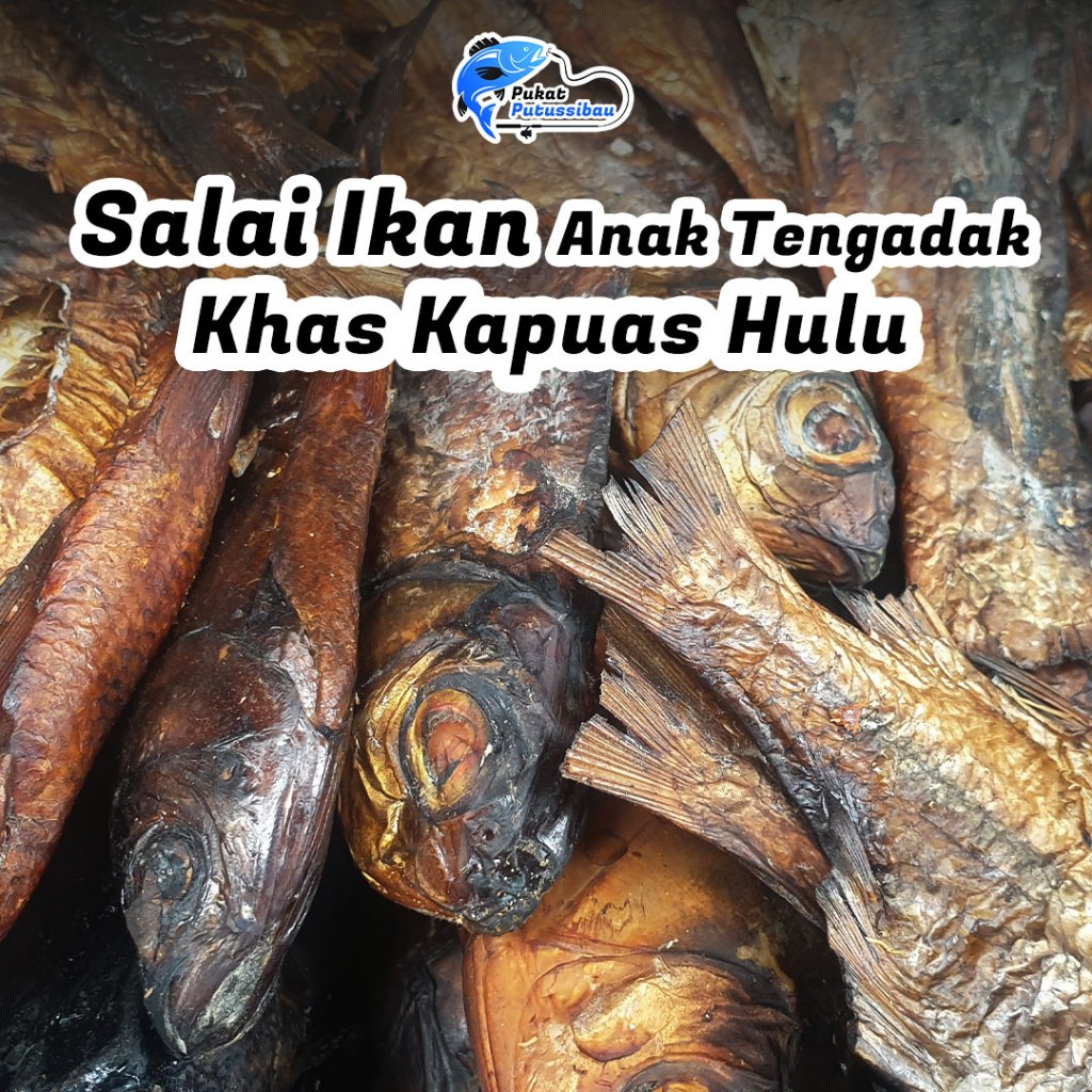 

Salai Ikan Anak Tengadak Khas Sungai Putussibau, Kapuas Hulu, Kalimantan Barat (100 gram)