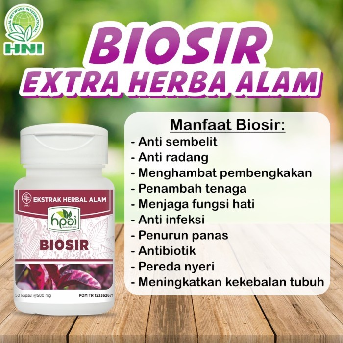 BIOSIR HNI HPAI HERBAL WASIR OBAT AMBEIEN HERBAL HNI ASLI ORIGINAL