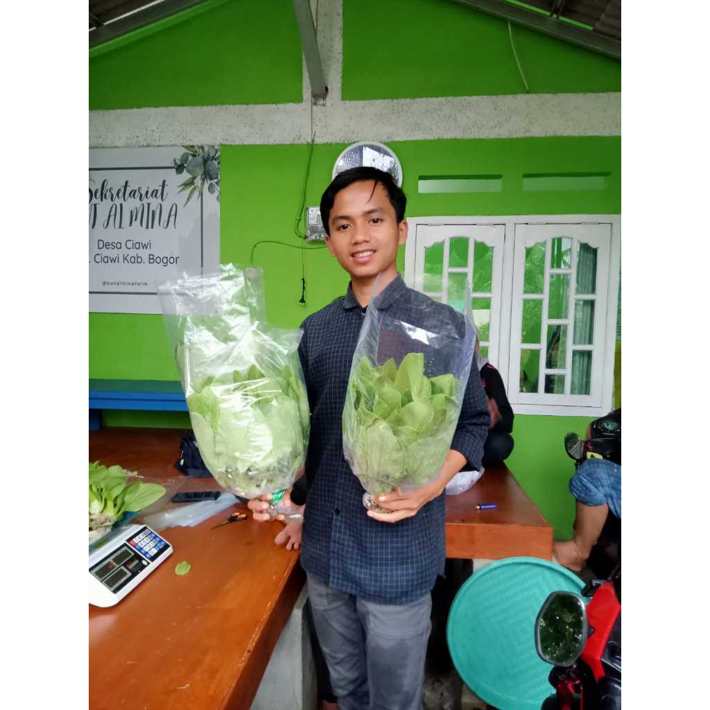 

zhapisang pisang saleh