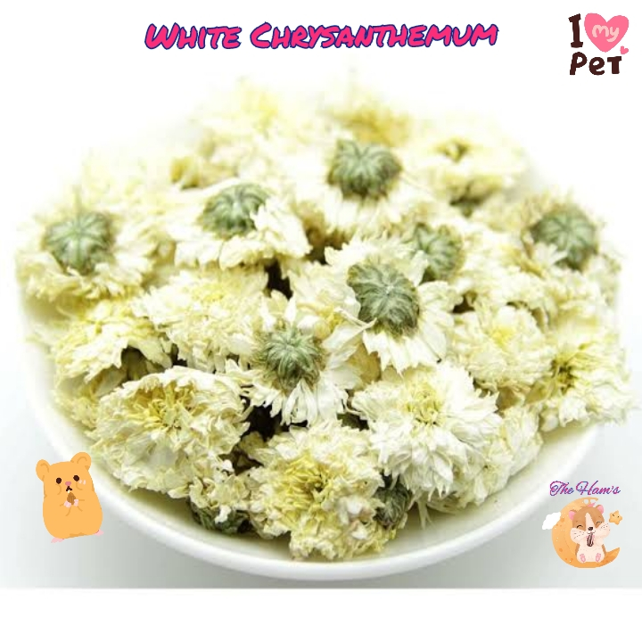 (The Ham's) White Chrysant Tea / Teh Bunga Krisan Putih / Teh Kembang White Chrysanthemum snack hams