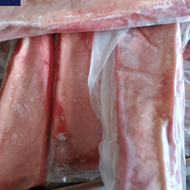 

Tuna Belly (Toro Tuna) – Fresh Frozen | Healthy & Good Quality