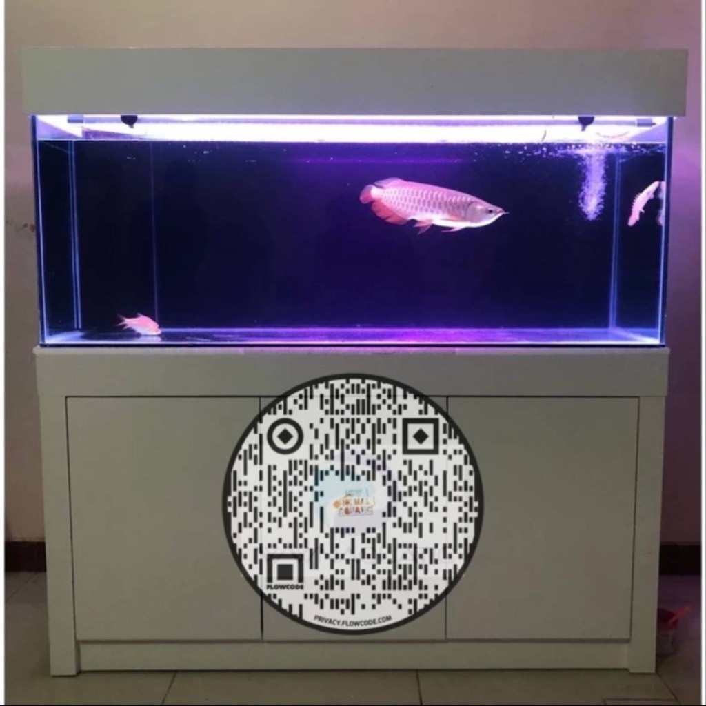 Paket Aquarium Cabinet (Complete Arwana) 150x55x55