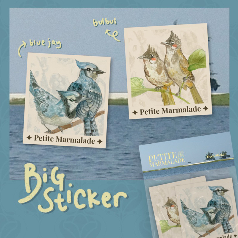 

[Petite Marmalade] Big Sticker [Birdy] Collection - single sticker