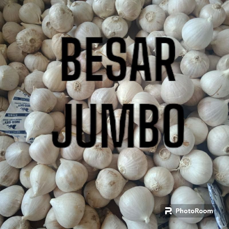 

promo bawang putih tunggal 1kg/lanang jumbo/free kardus packing baru