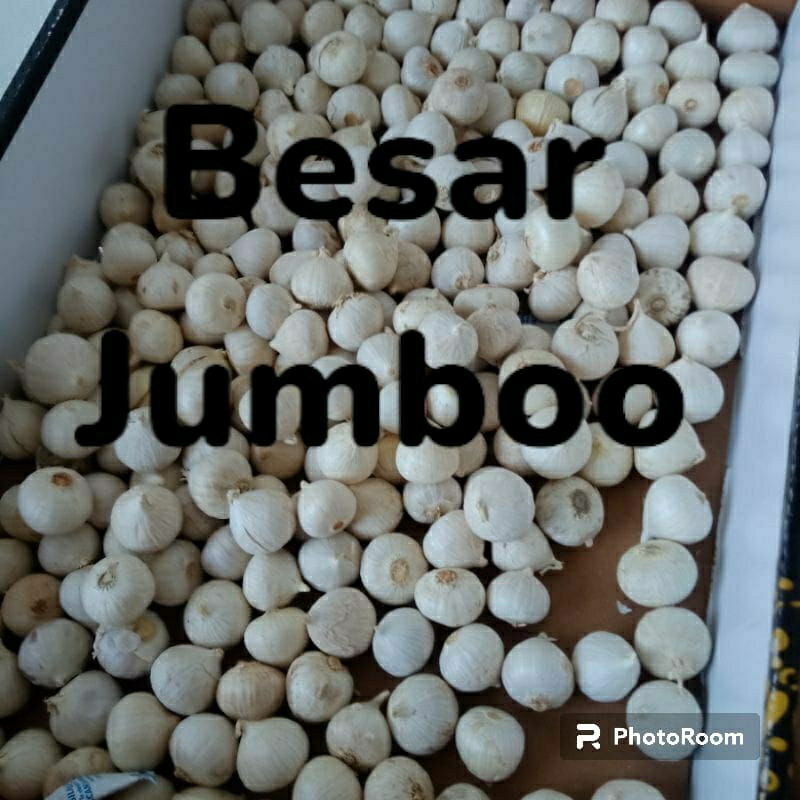 

bawang putih tunggal jumboo 1kg/lanang jumbo