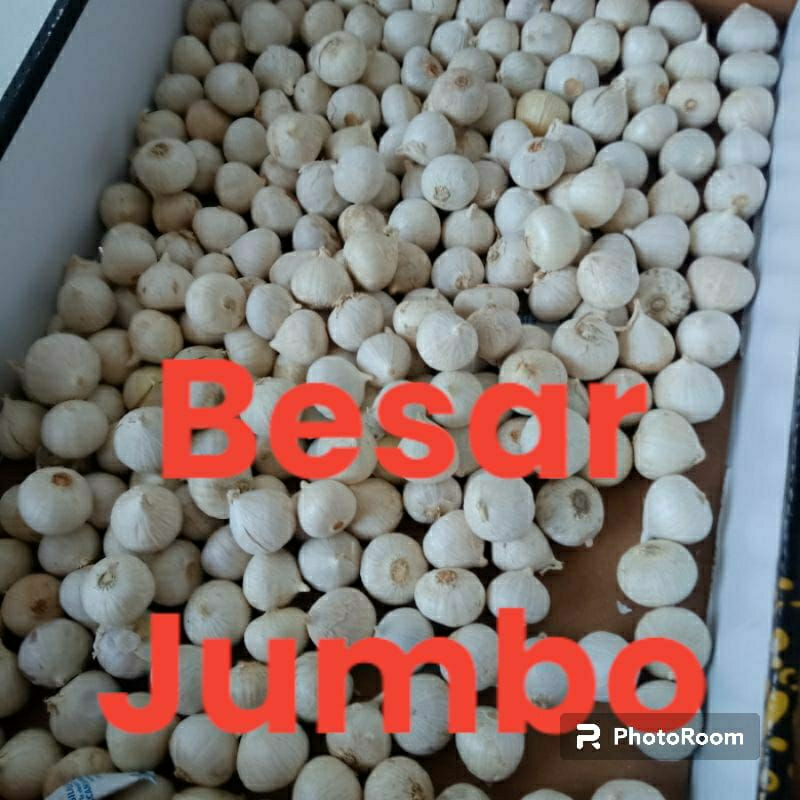 

bawang putih tunggal besar jumbo 1kg/lanang jumbo