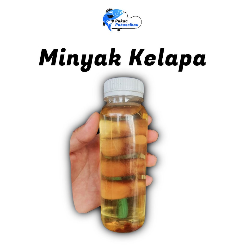 

Minyak Kelapa Alami Khas Putussibau Kapuas Hulu Kalimantan Barat