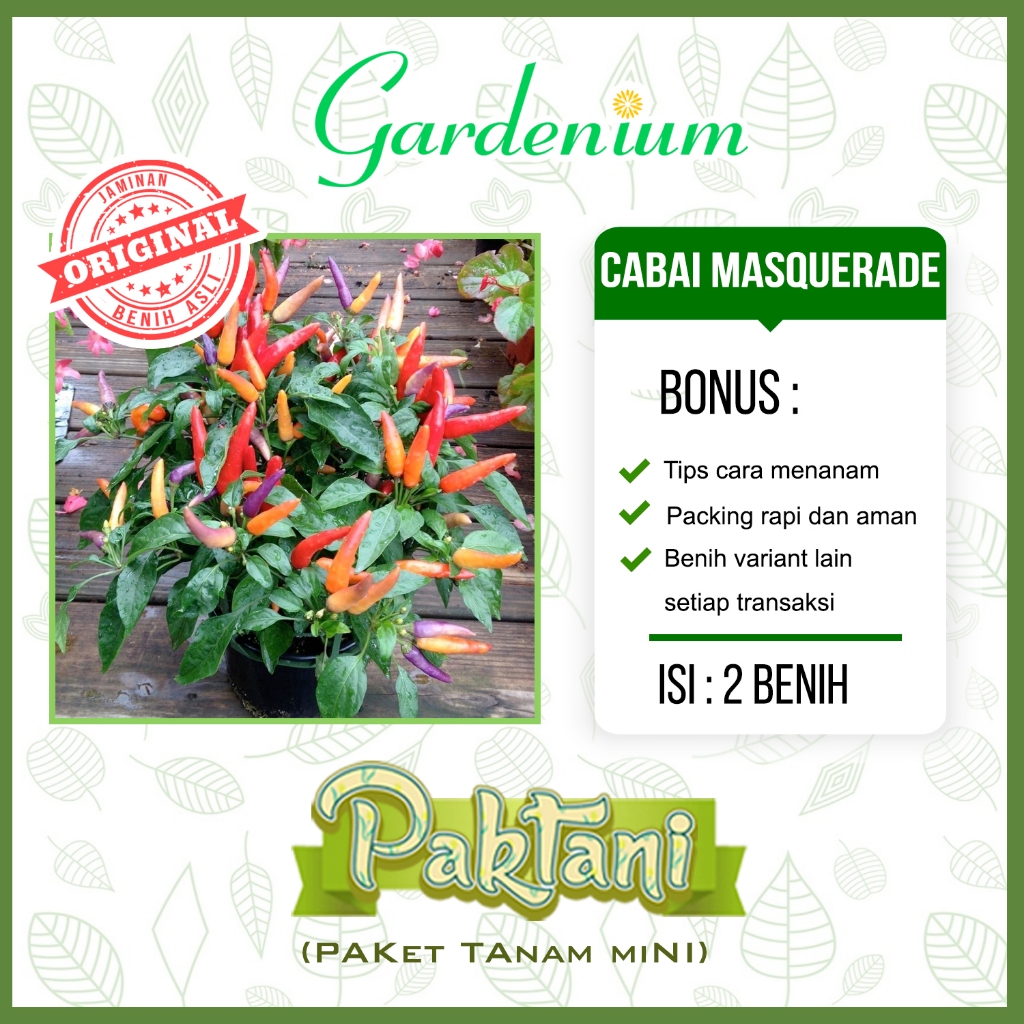 2 Benih Cabai Pelangi Masquerade Tanaman Cabe Hias Ornamental Paktani